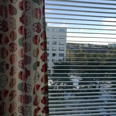 The Cupcake / Kuppikakkuyksioe Turku