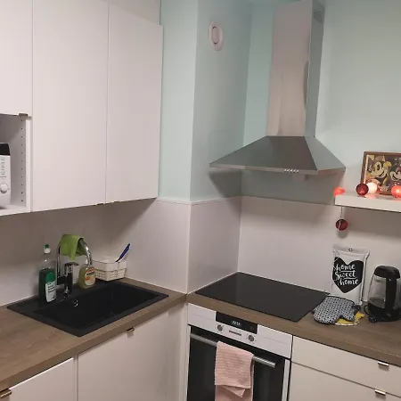 The Cupcake / Kuppikakkuyksioe